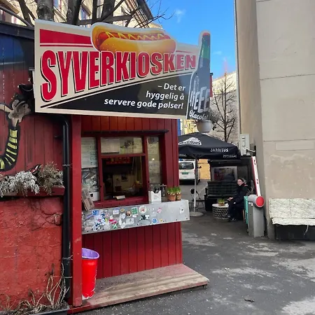 Appartement Moderne Ettroms Studioleilighet I Sentrum! Oslo