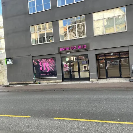 Moderne Ettroms Studioleilighet I Sentrum! Daire